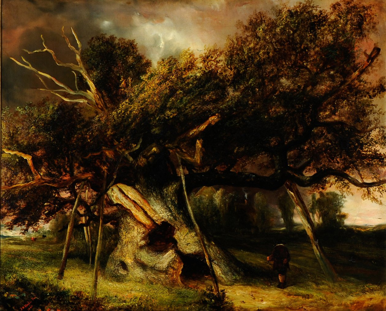 Le Chêne de Cowthorpe - John Nicholas Rhodes