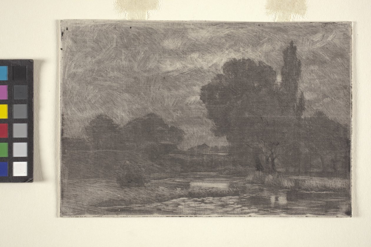 Paysage marécageux - John Otis Adams