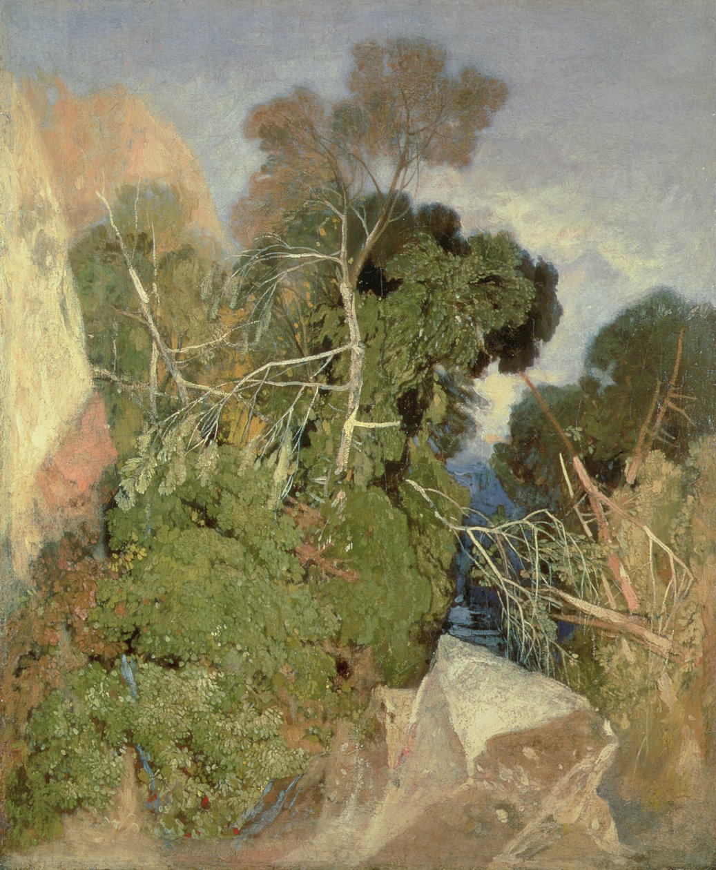 Bouleaux argentés - John Sell Cotman