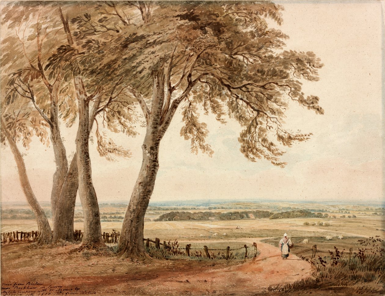 Vue de Polsden près de Bookham dans le Surrey - John Varley