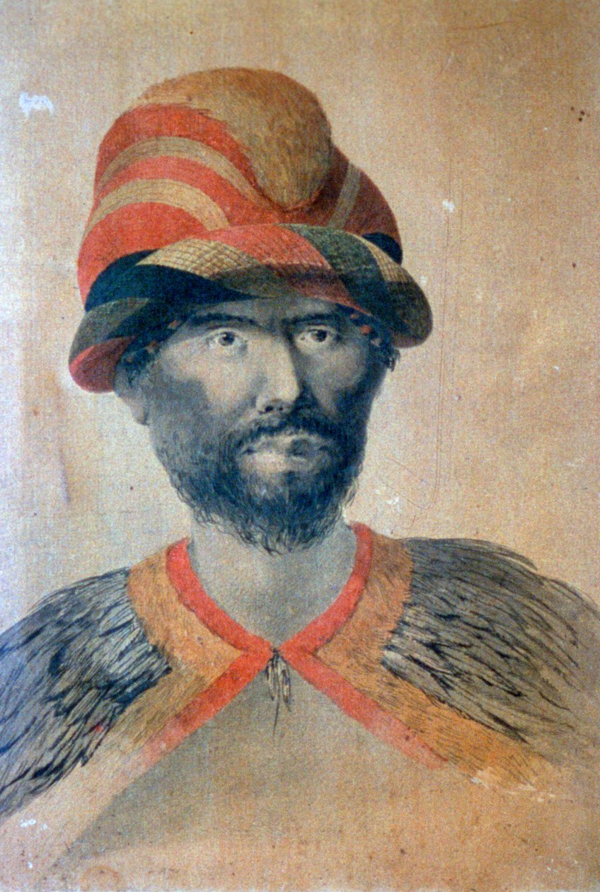 Hawaïen, 18e siècle - John Webber