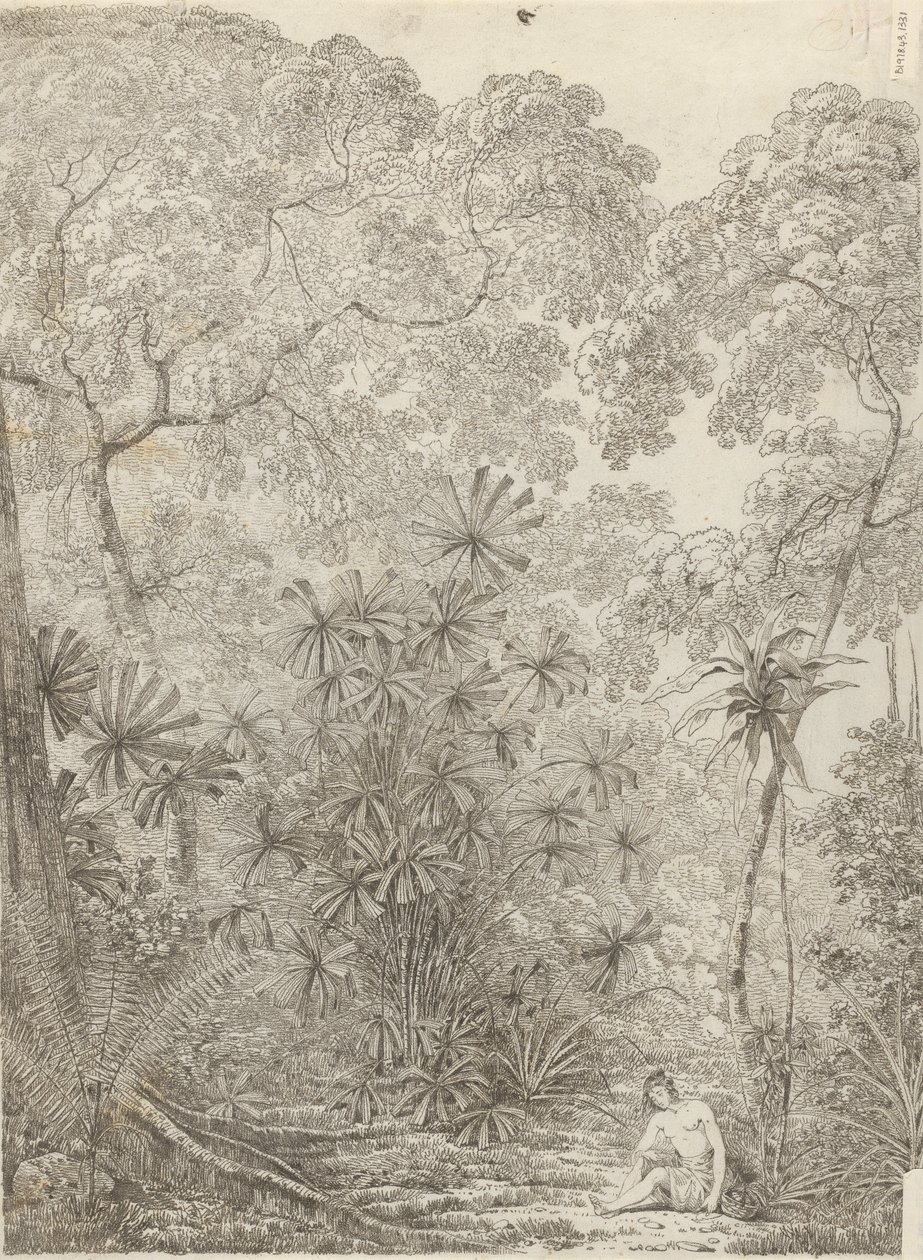 Le palmier éventail de Krakatoa - John Webber