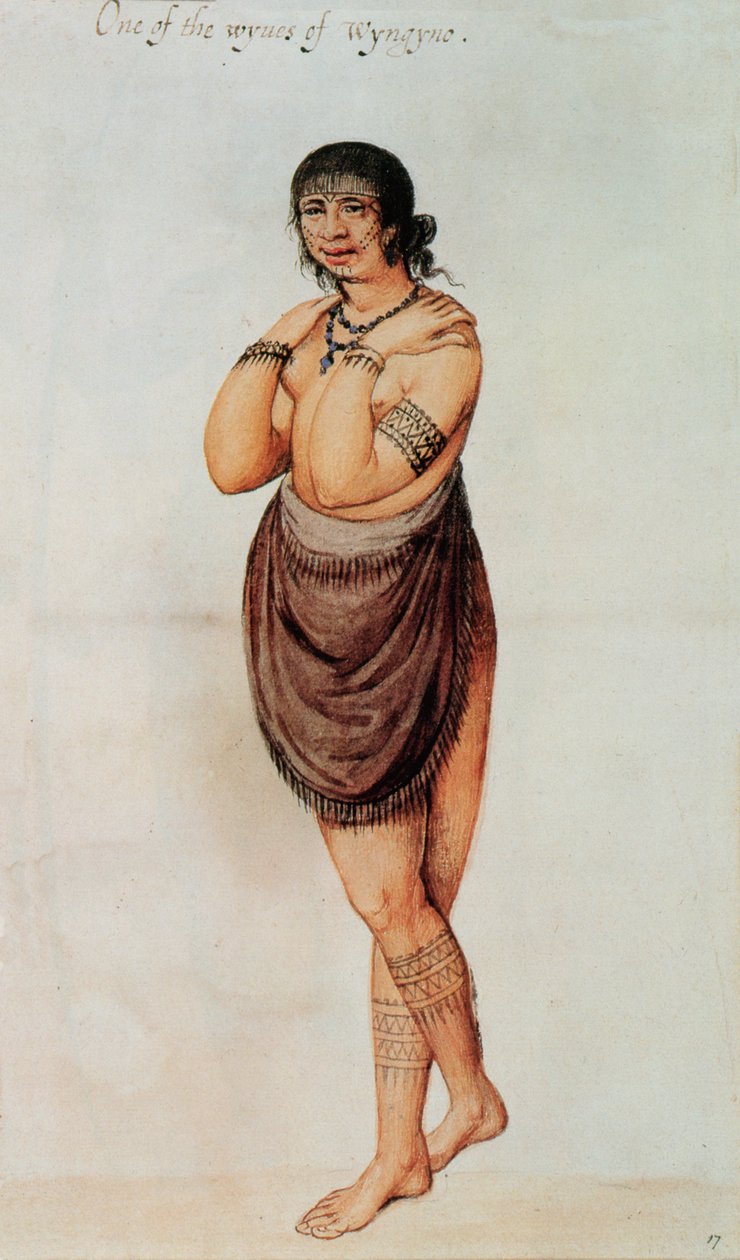 Femme indienne - John White