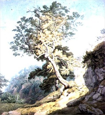 Vue près de Canonteign, Devon - John White Abbott