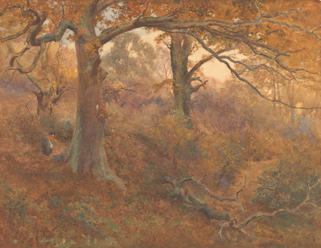 Paysage forestier - John William North