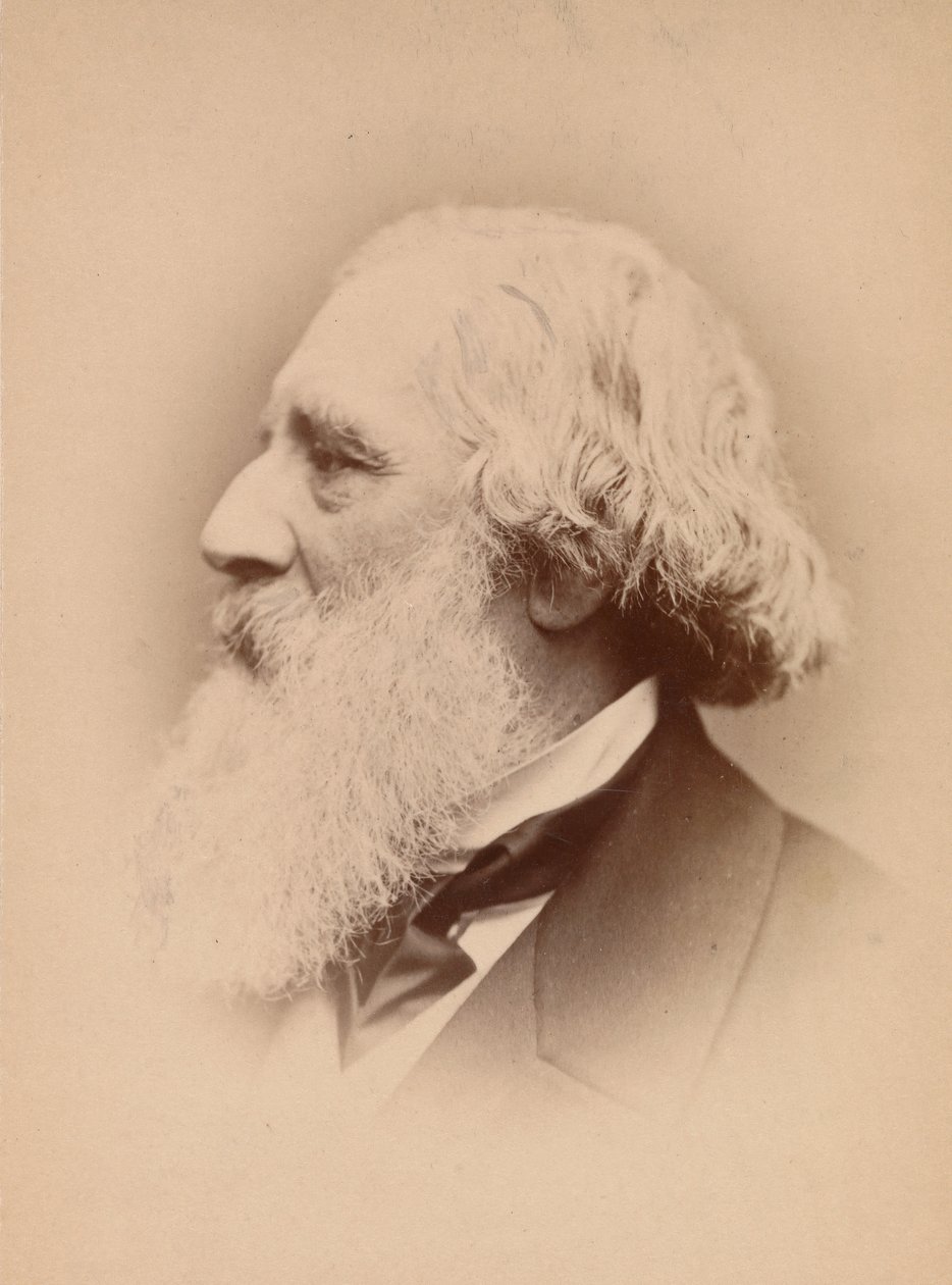 [John Frederick Lewis], 1860s - John and Charles Watkins