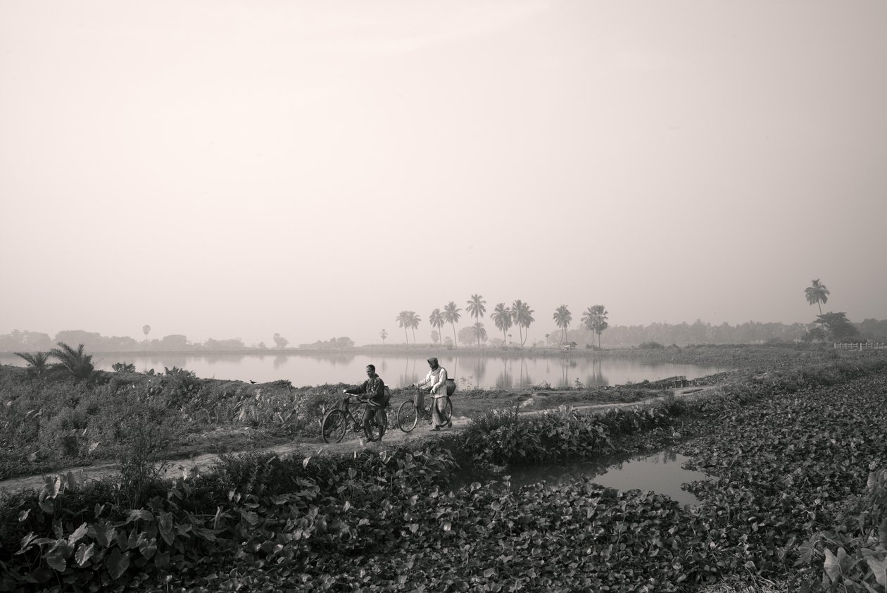 Pêche en zone humide à Kolkata, 2016 (photo) - Jon Nicholson