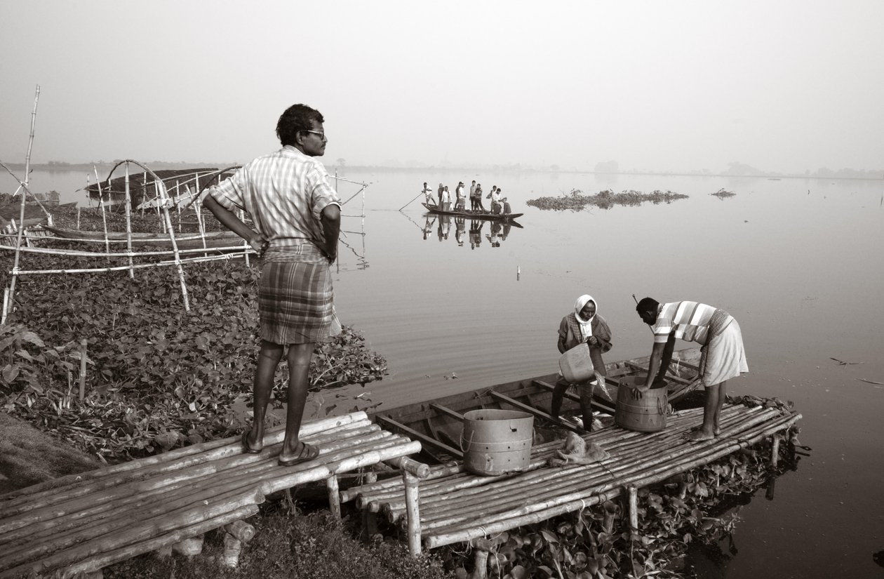 Pêche en zone humide à Kolkata, 2016 (photo) - Jon Nicholson