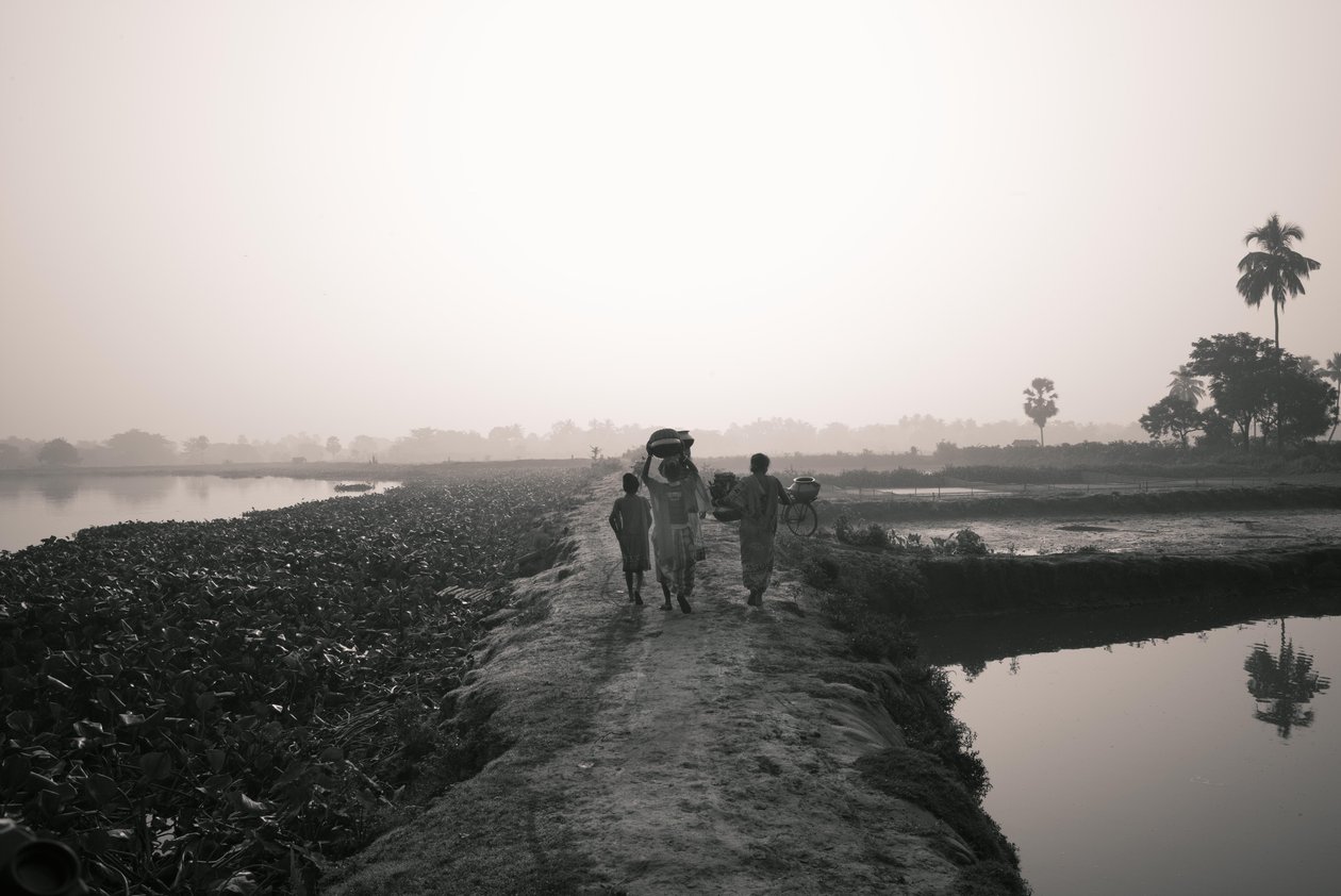 Pêche en zone humide à Kolkata, 2016 (photo) - Jon Nicholson