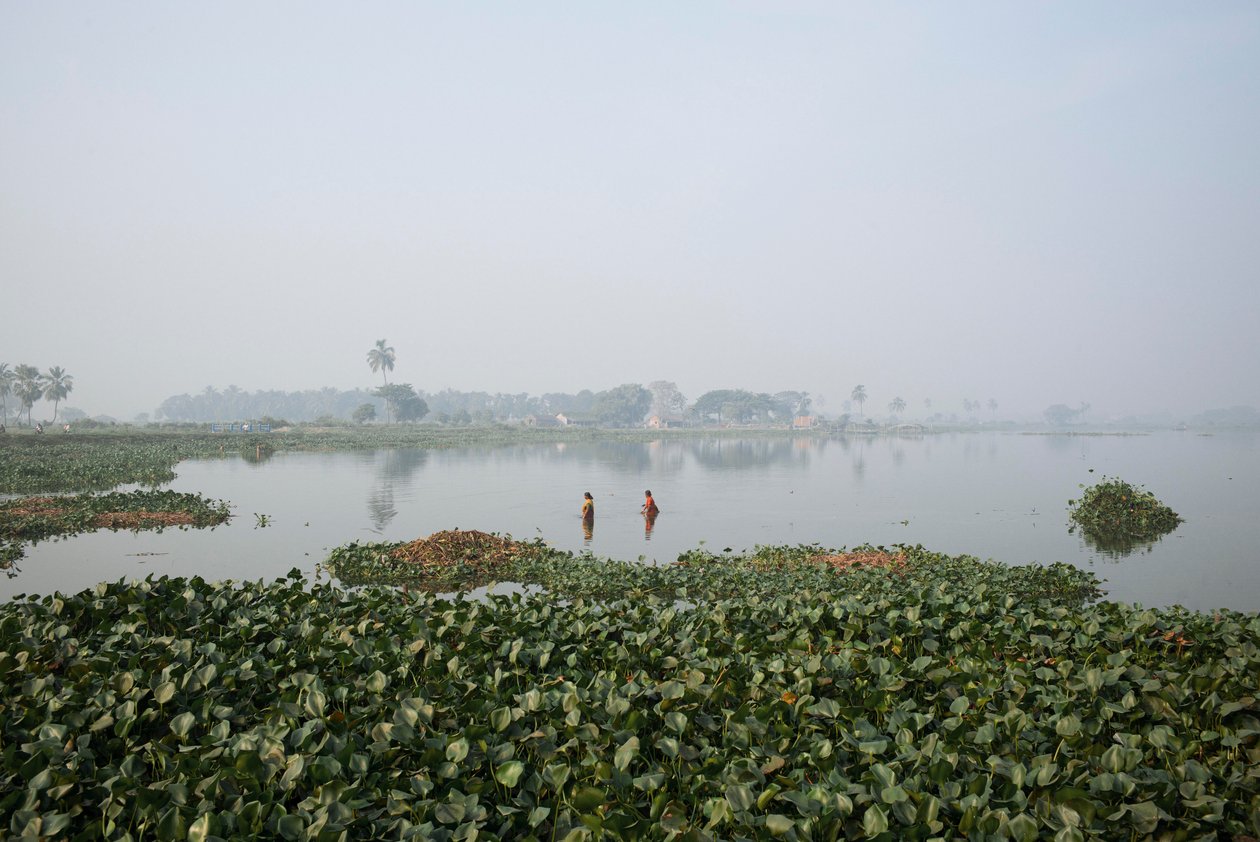 Pêche en zone humide à Kolkata, 2016 (photo) - Jon Nicholson