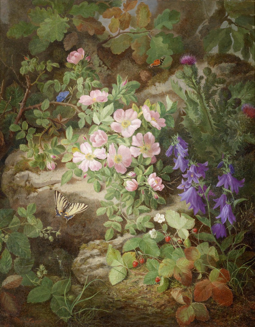 Grande nature morte avec fleurs des Alpes - Josef Lauer