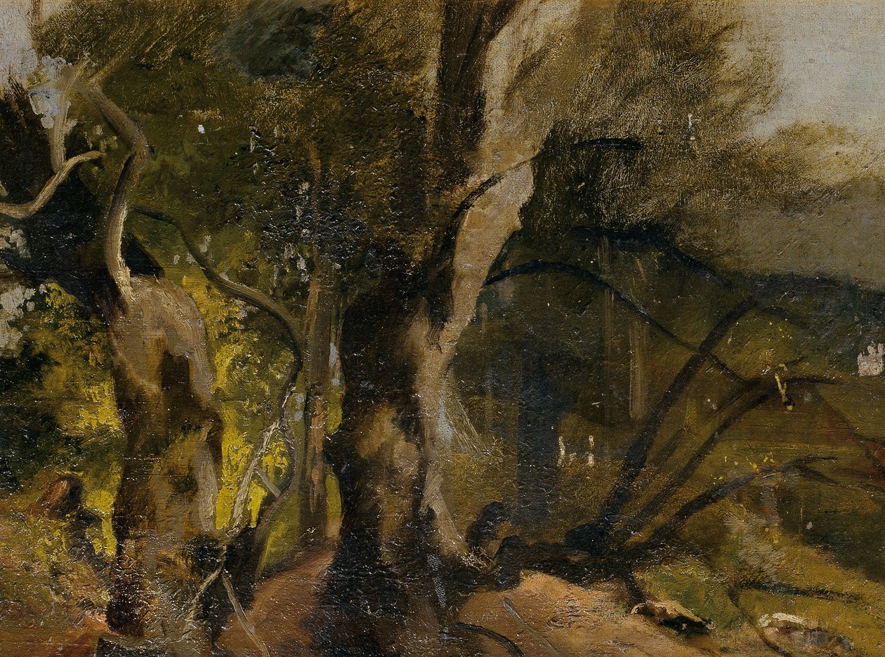 Étude de forêt - Josef Navrátil