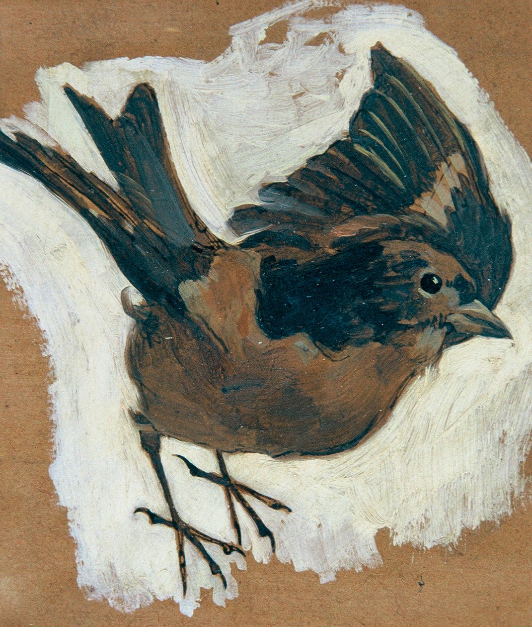 Moineau - Josef Wawra