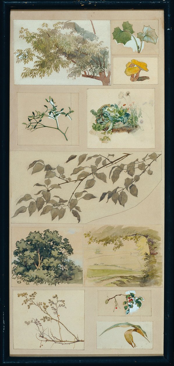 Études d