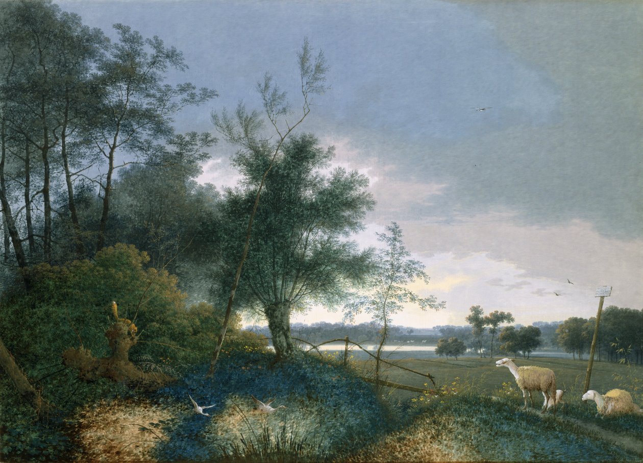 Paysage avec un renard chassant des oies - Joseph August Knip