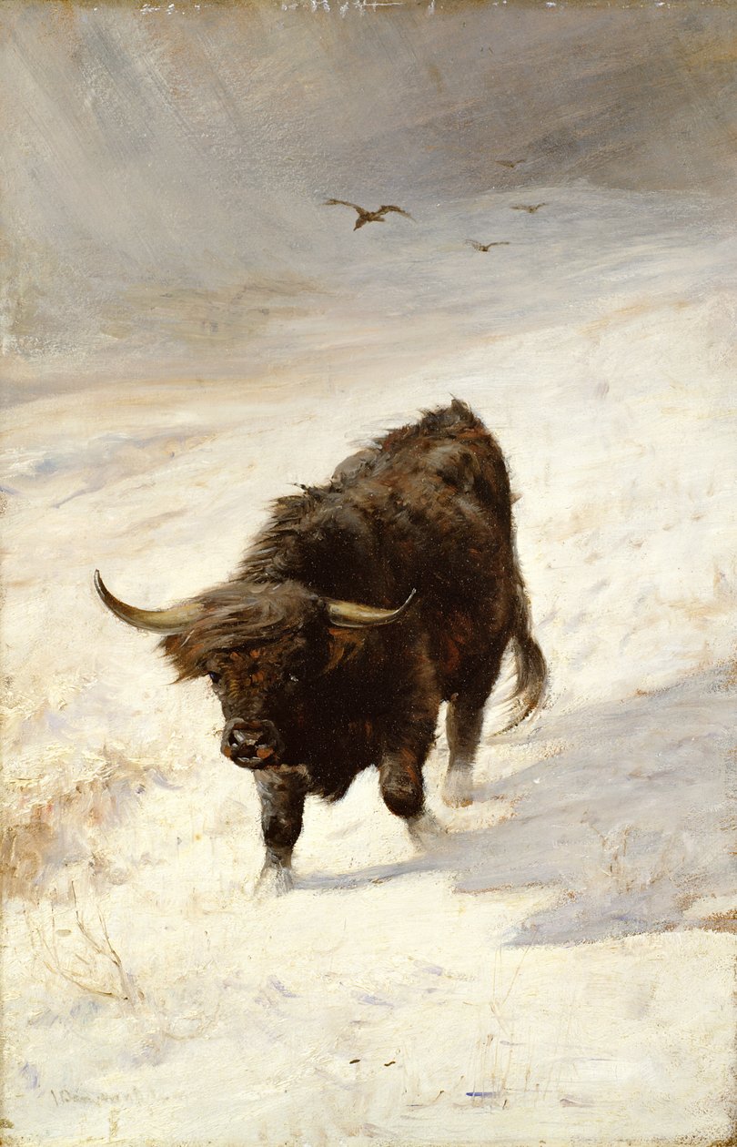 Bête noire errante - Joseph Denovan Adam