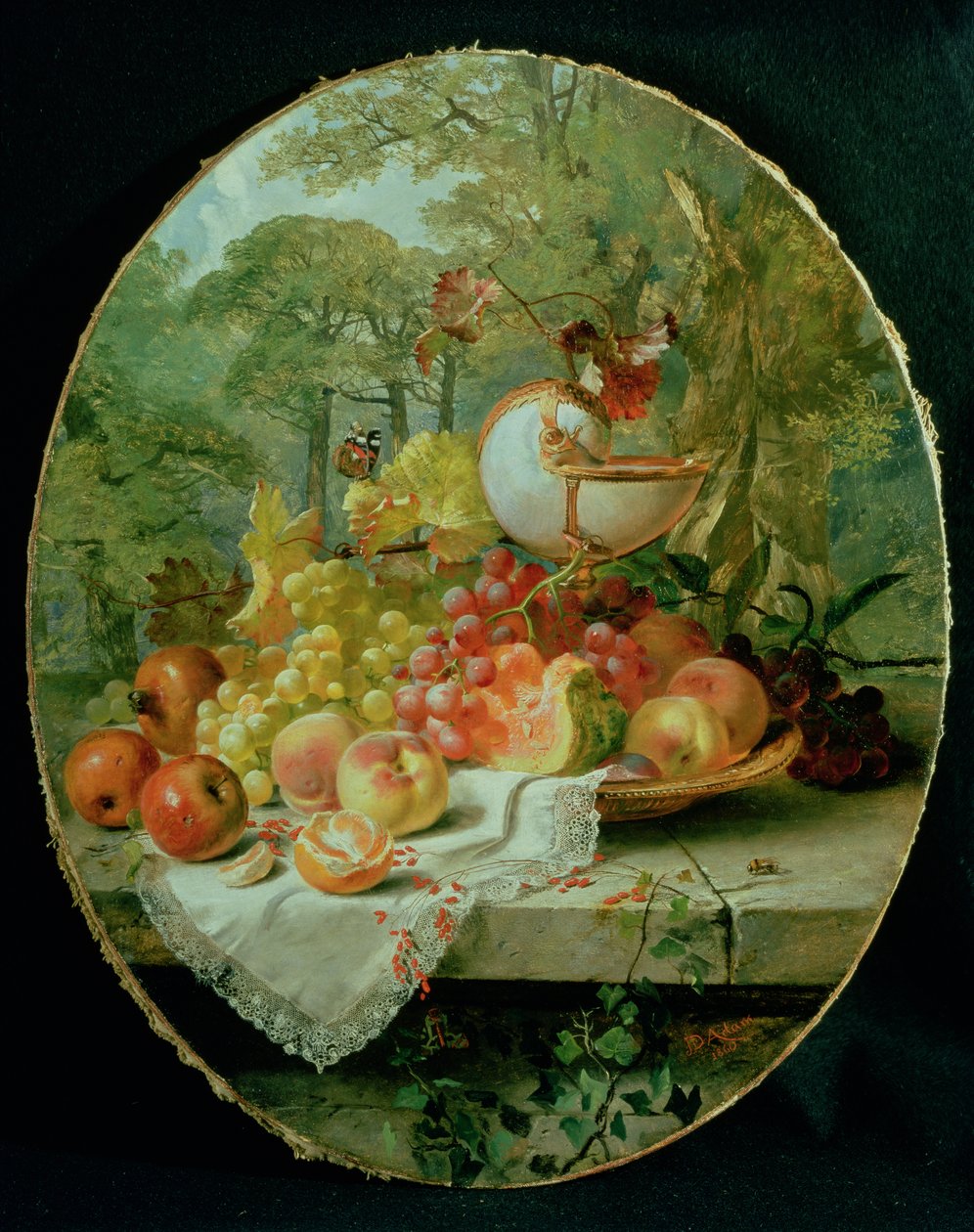 Nature morte - Joseph Denovan Adam