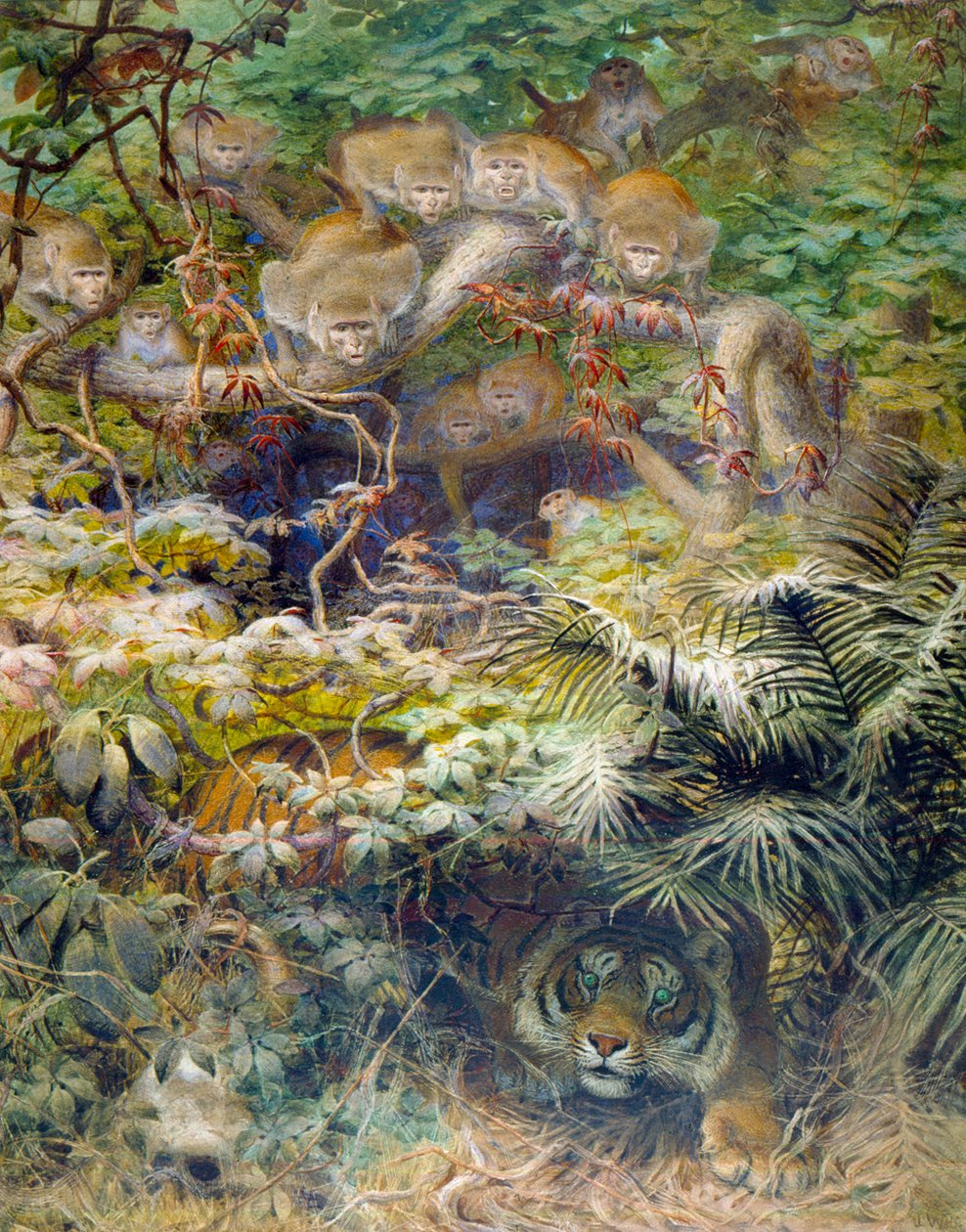 Bataille dans la jungle, 1863 - Joseph Wolf