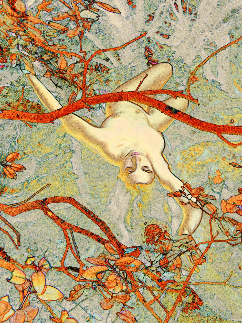 Alice en Cévennes 2 - Joseph Angilella Auquier
