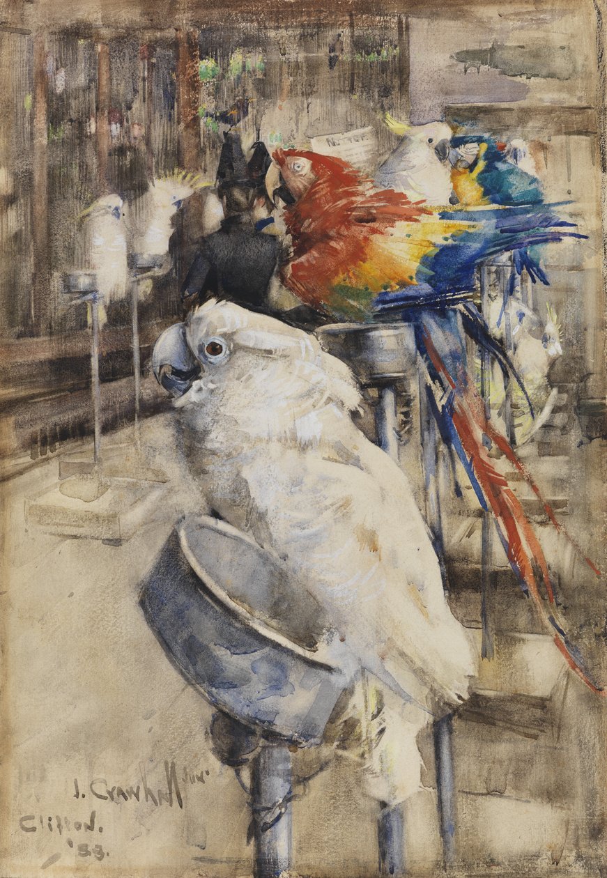 La Volière, Clifton - Joseph Crawhall