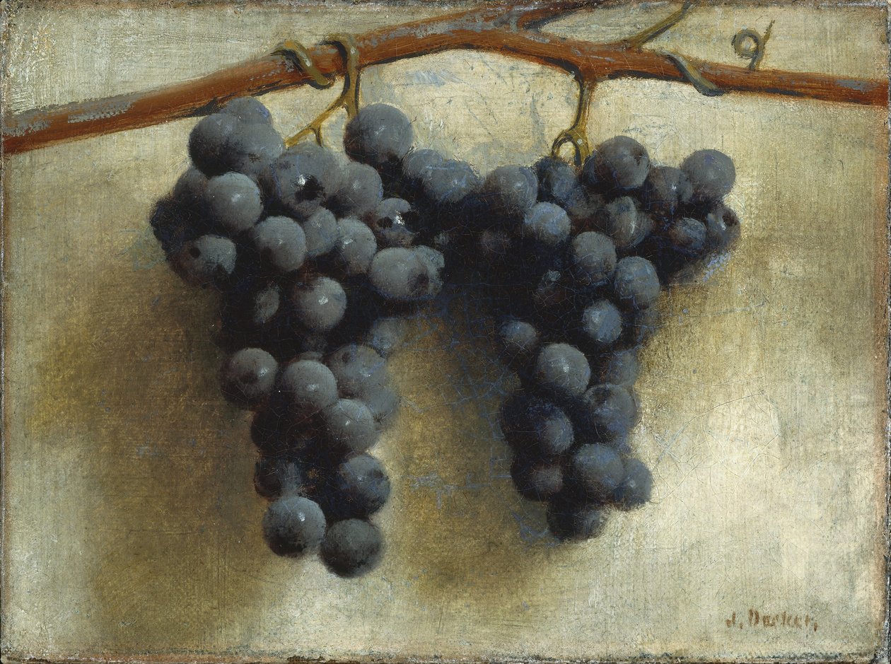 Raisins - Joseph Decker