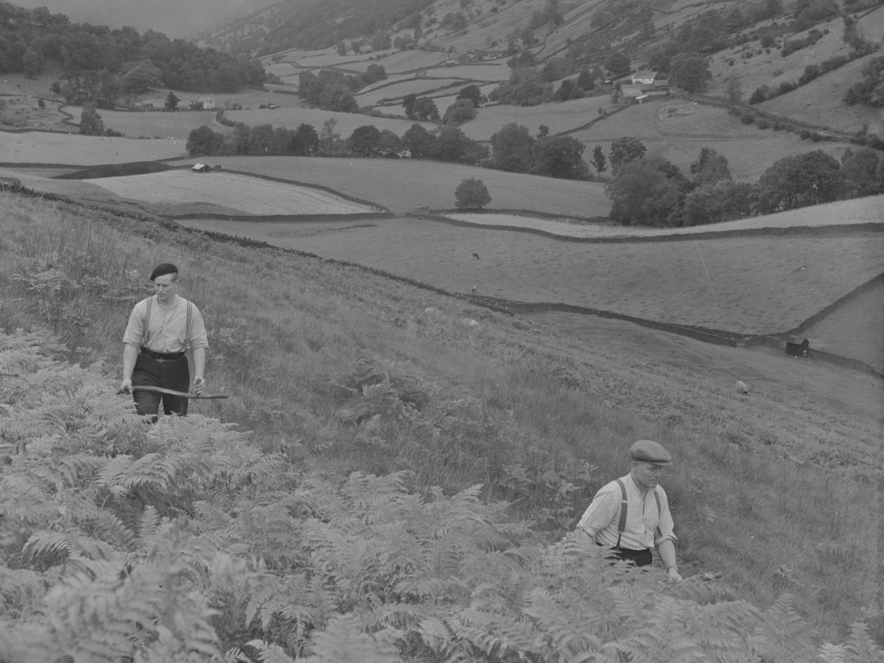 Deux hommes en train de faucher des fougères - Joseph Hardman