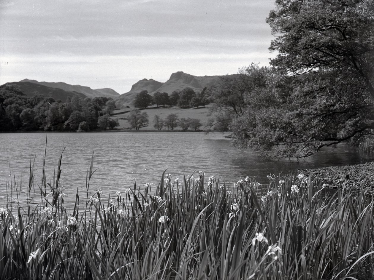 Vue sur le Tarn de Loughrigg - Joseph Hardman
