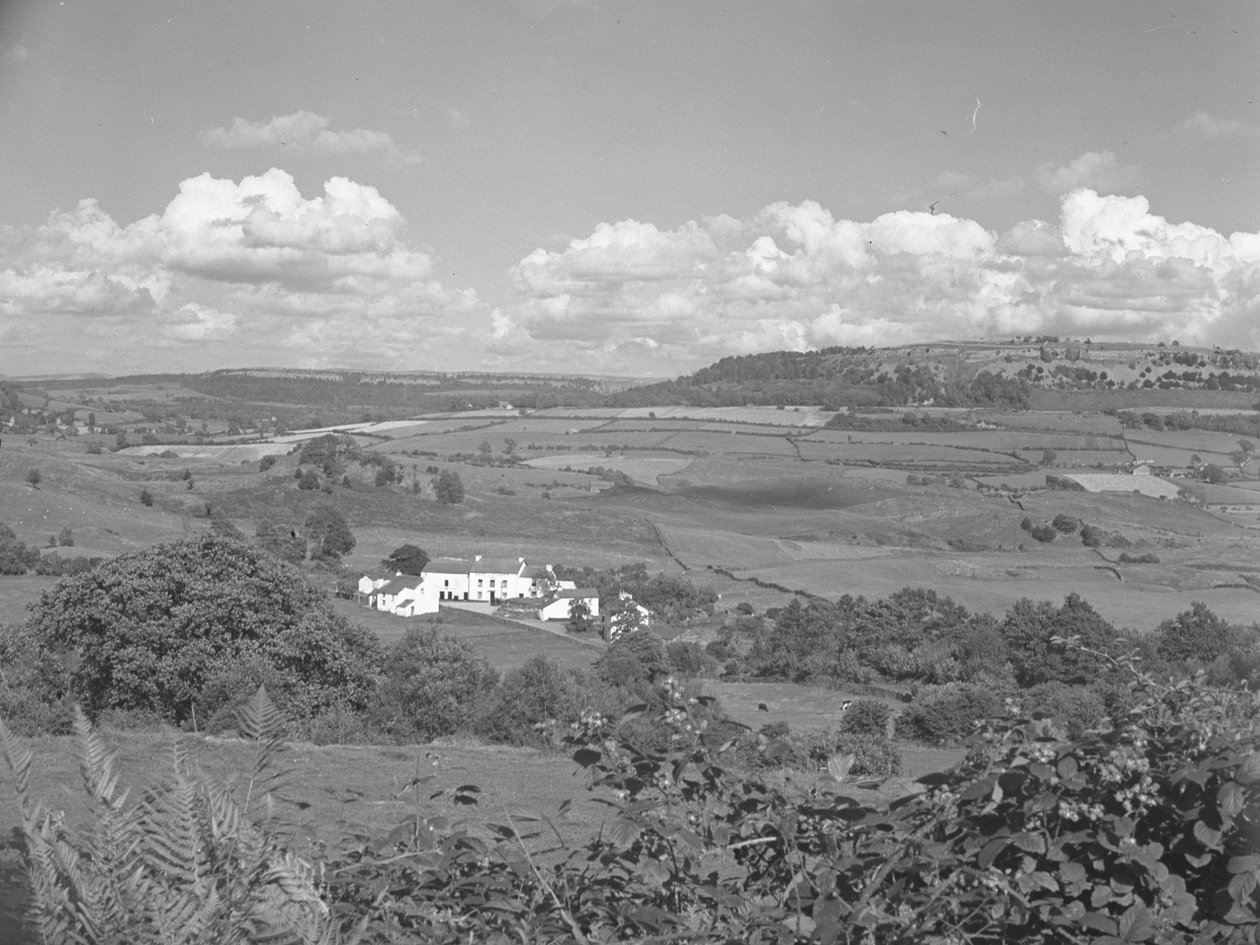 Vue d