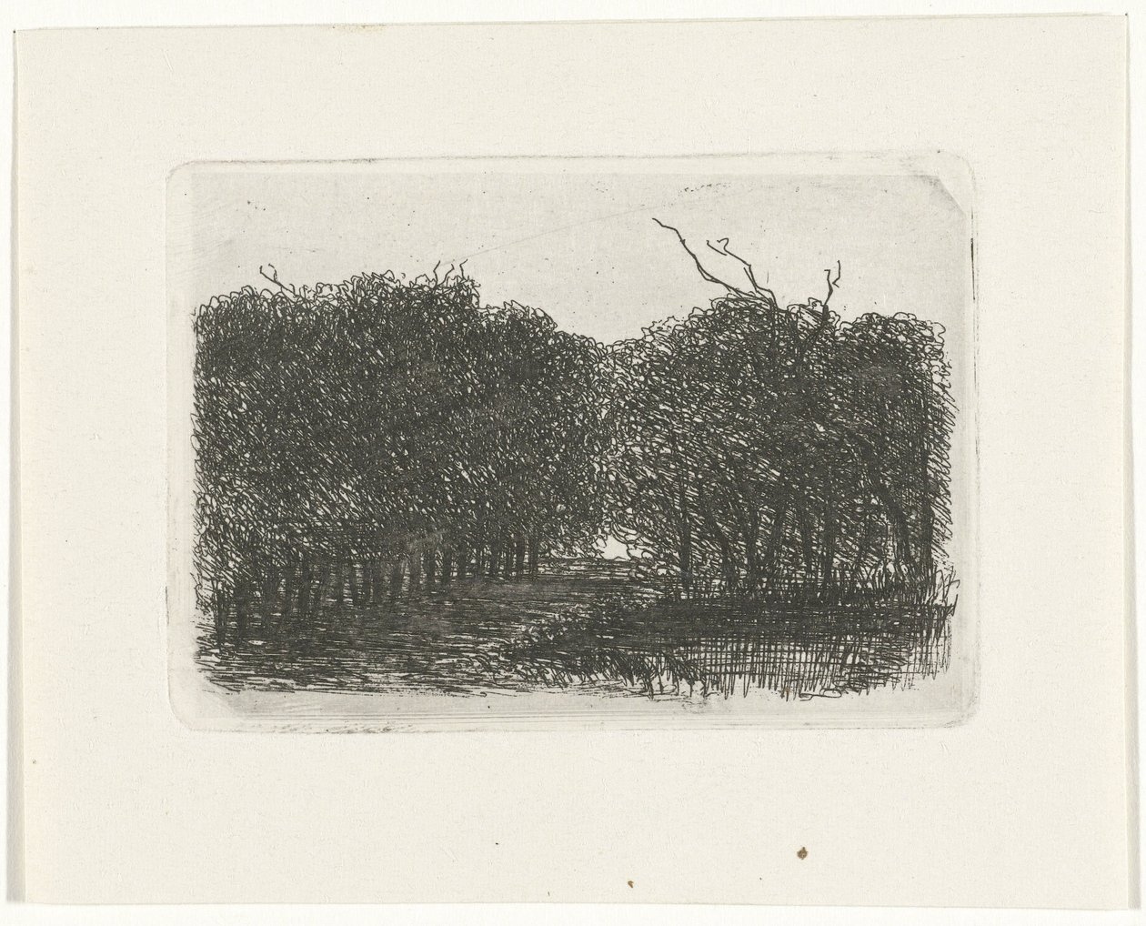 Vue de la forêt - Joseph Hartogensis