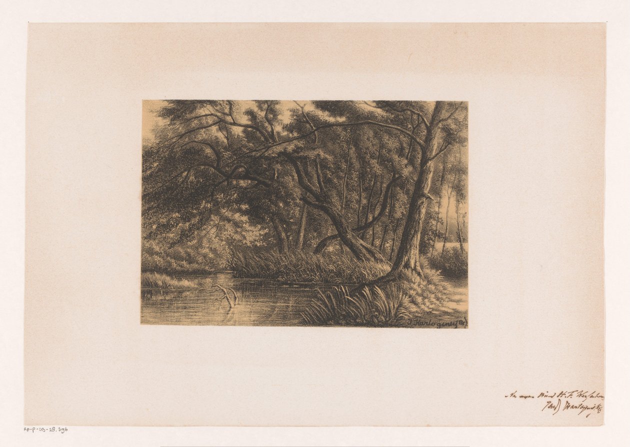 Paysage forestier avec étang - Joseph Hartogensis