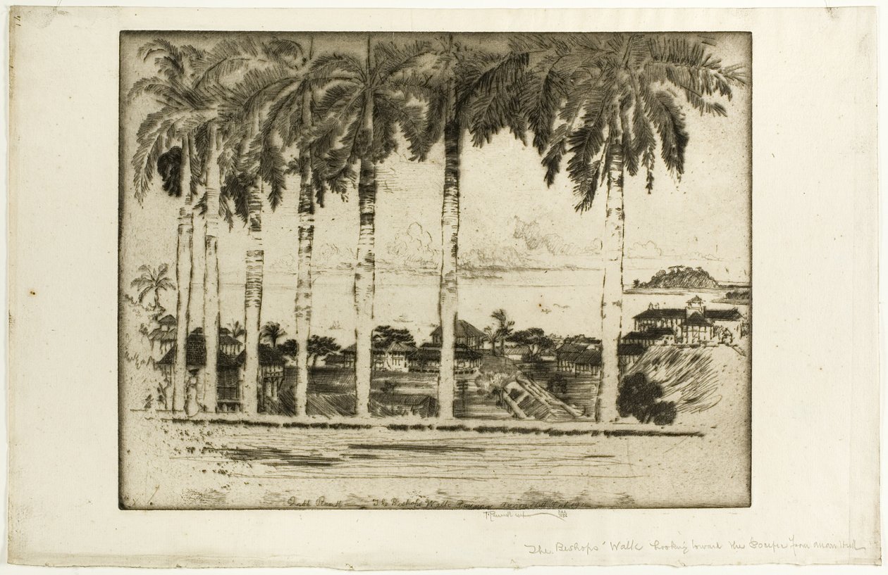 Promenade des Évêques, colline d