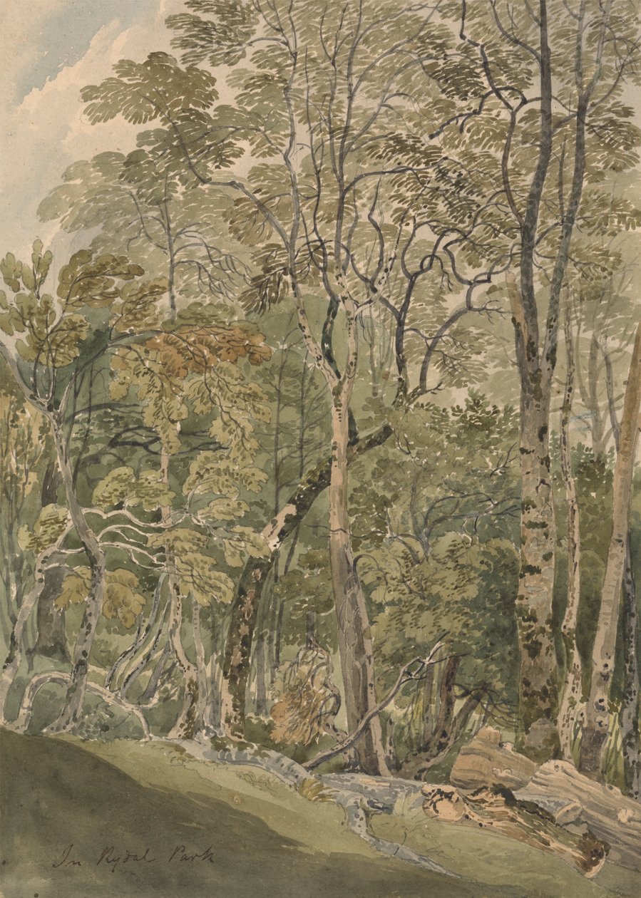 Dans le parc de Rydal - Joseph Powell