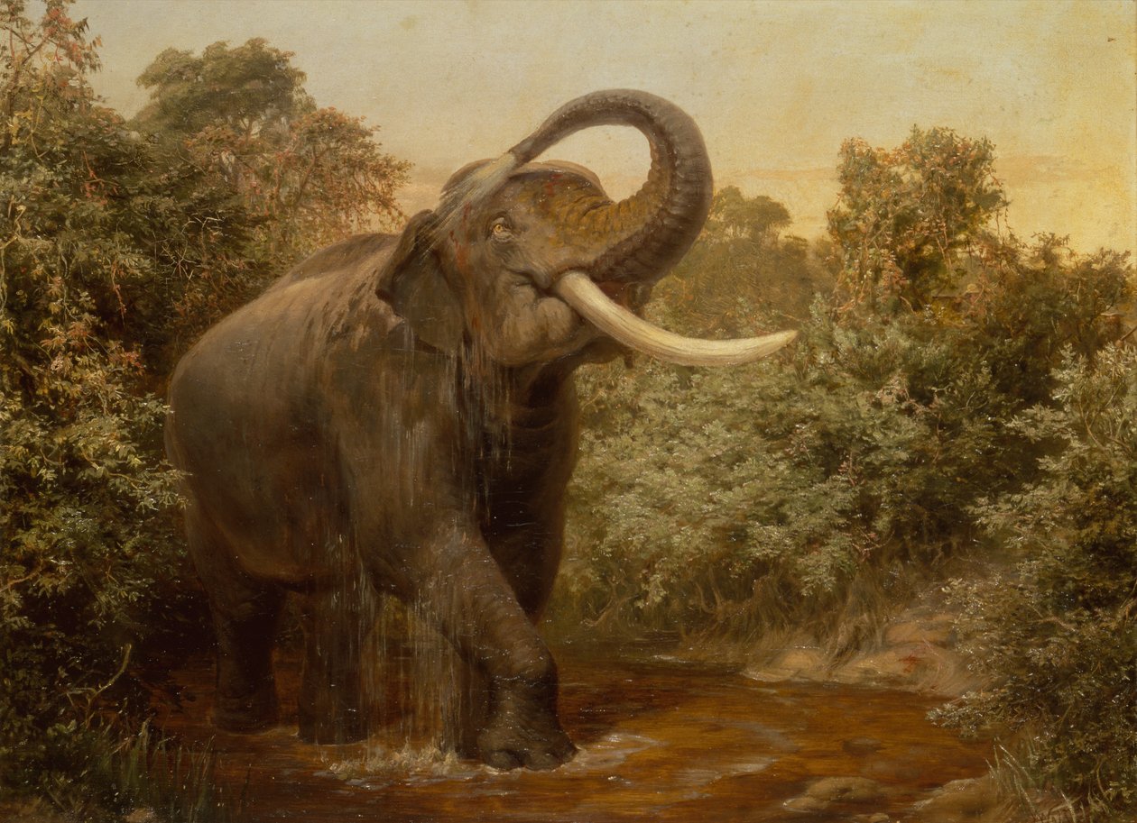 Le monstre Tusker - Joseph Wolf