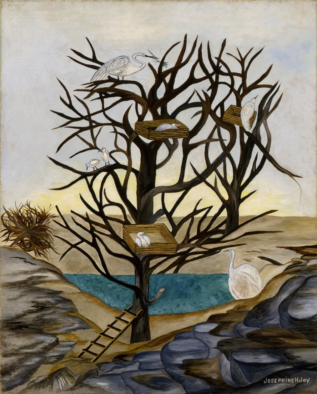 Nidification des oiseaux d