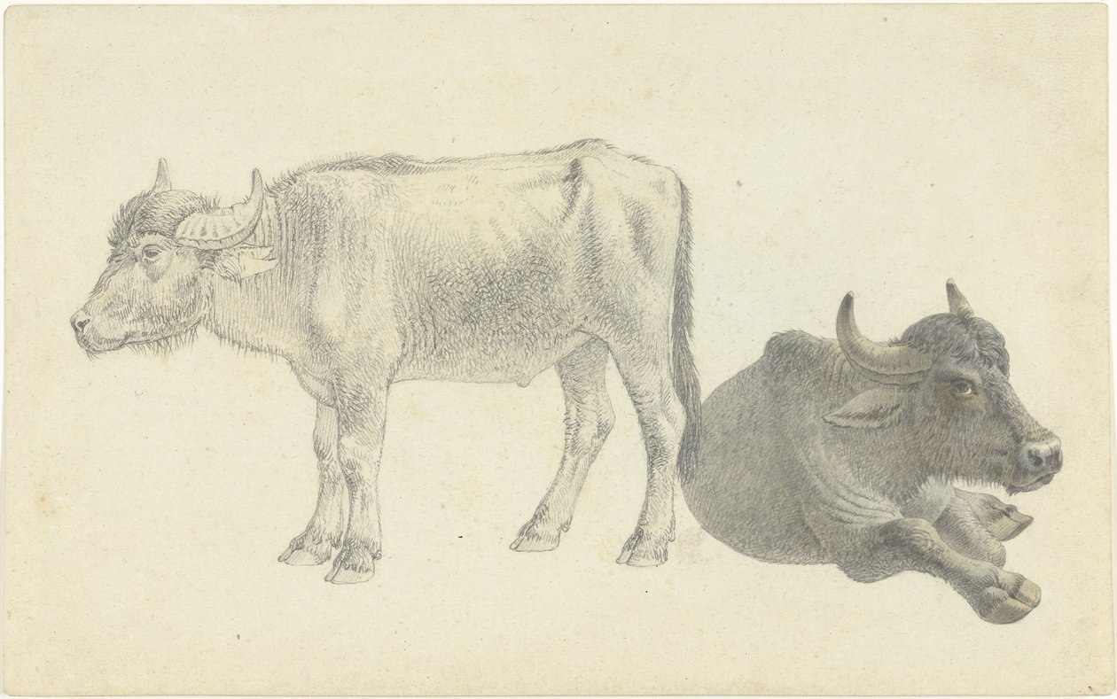 Bovins couchés et debout - Josephus Augustus Knip
