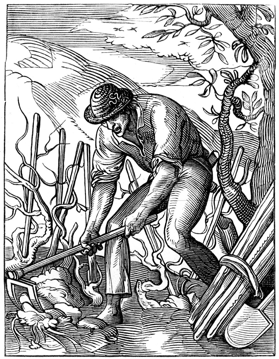 Vigneron, 16ème siècle 1849 - Jost Amman