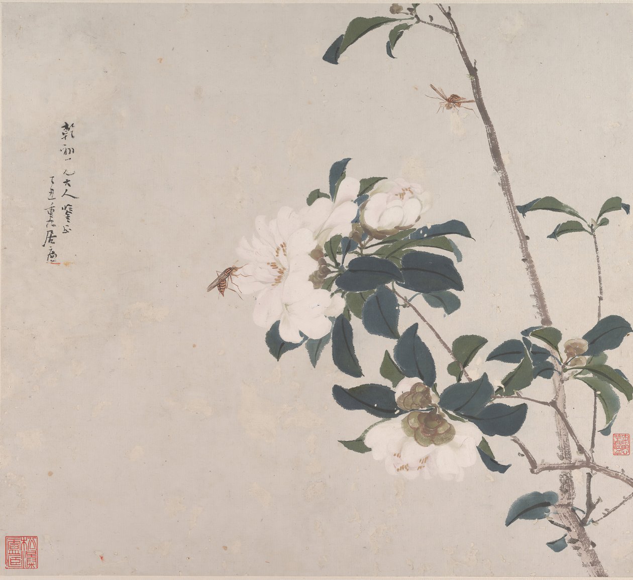 Insectes et Fleurs - Ju Lian