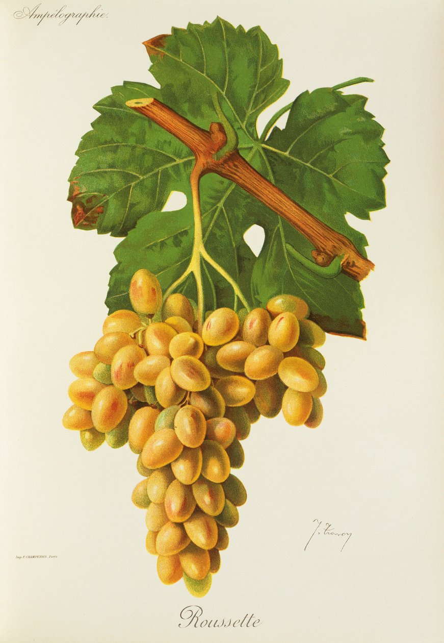 Roussette - Jules Troncy