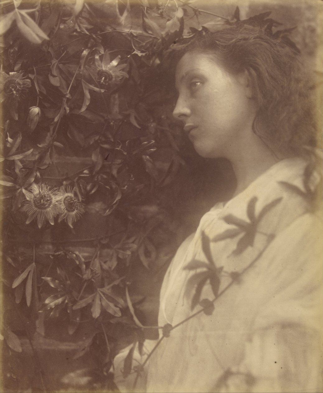 Maud, une larme splendide est tombée de la fleur de la passion à la porte - Julia Margaret Cameron