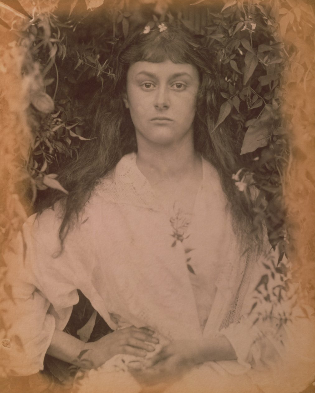 Pomona, 1872 - Julia Margaret Cameron