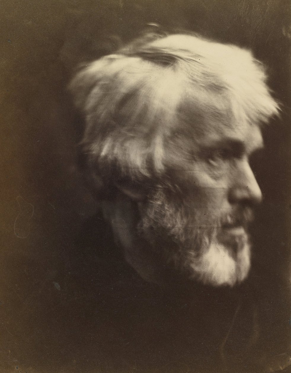 Thomas Carlyle (1795) - Julia Margaret Cameron