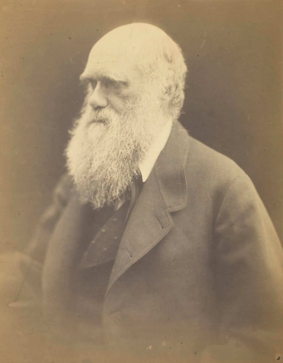Charles Darwin - Julia Margaret Cameron