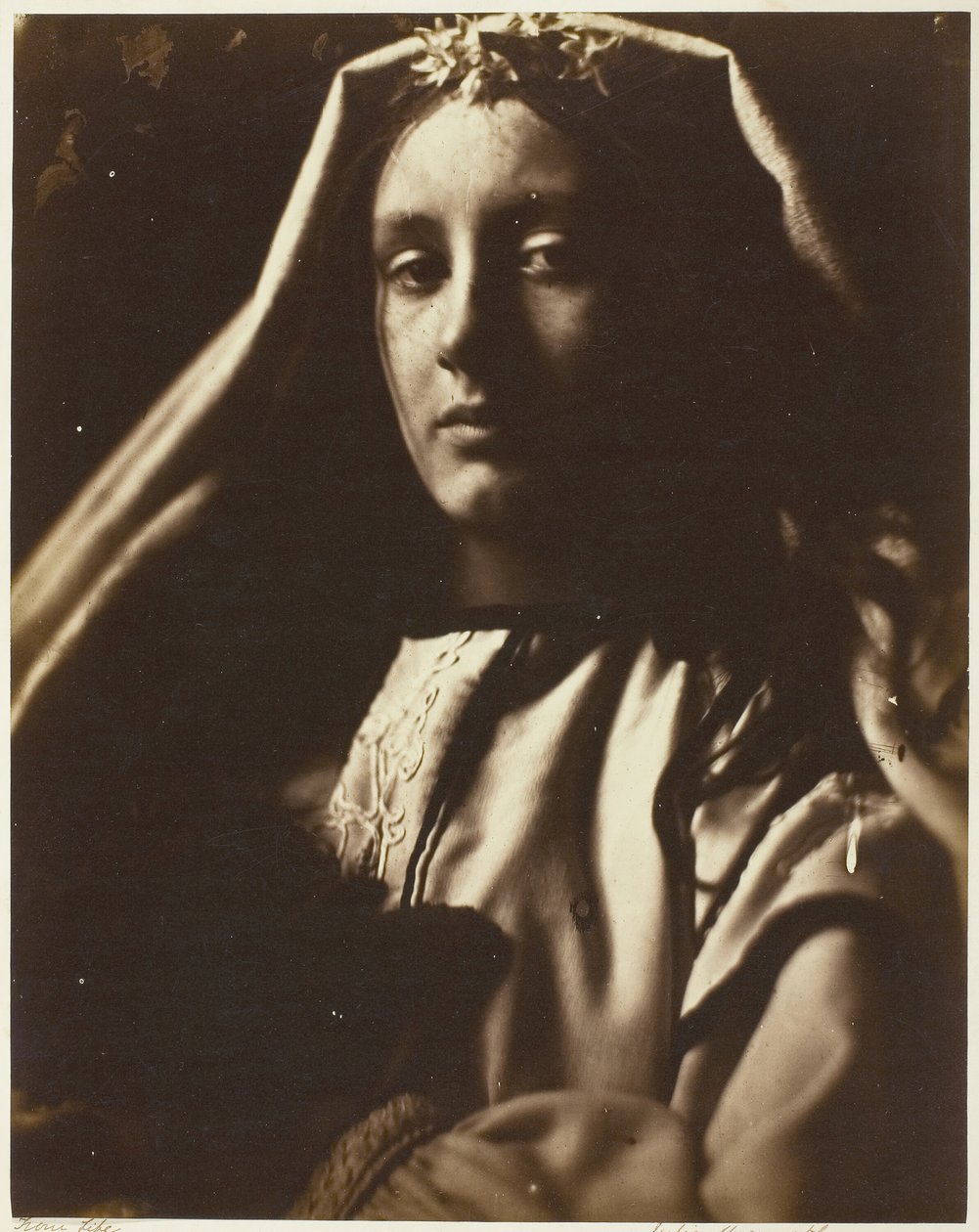 Le Napolitain, 1864-65 - Julia Margaret Cameron