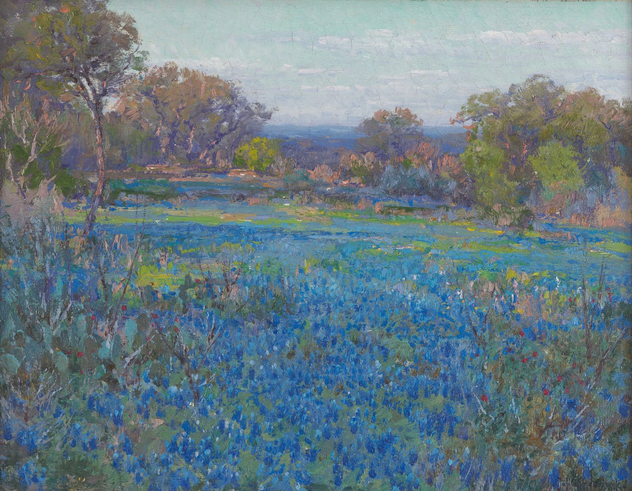 Un champ de Blue Bonnets, lumière du soleil en fin d