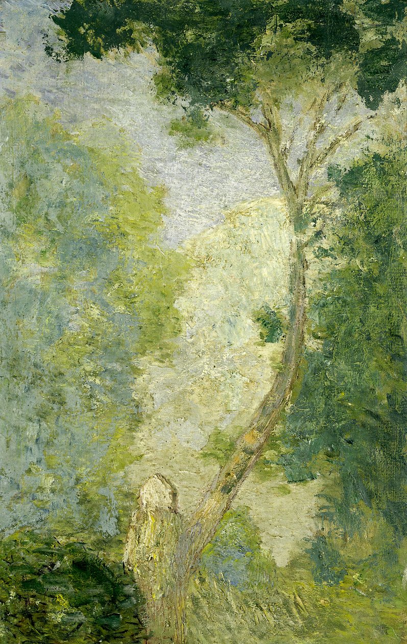 Paysage, après 1900 - Julian Alden Weir