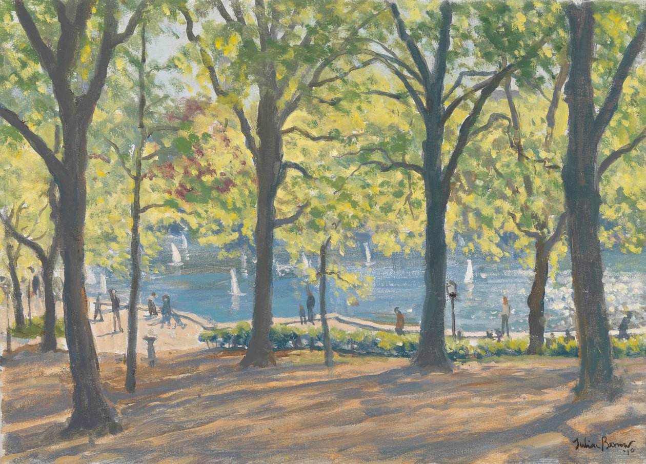 Central Park, New York, 2010 - Julian Barrow