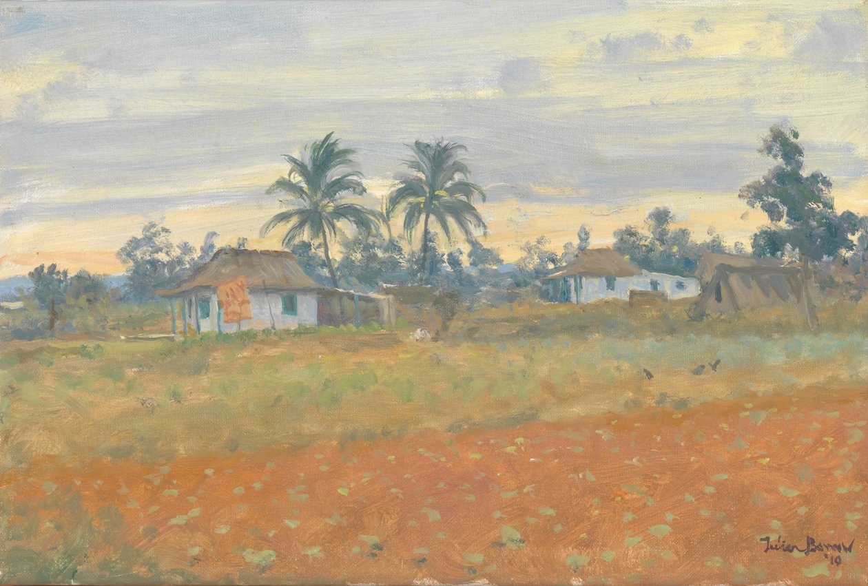 Paysage cubain, 2010 - Julian Barrow