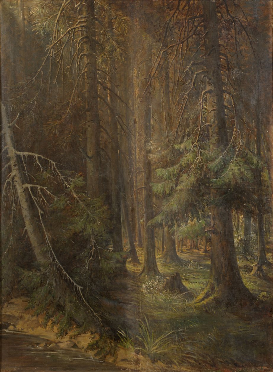 Forêt - Julie Wilhelmine Hagen Schwarz