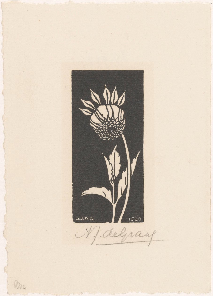 Dahlia - Julie de Graag (signed by artist)