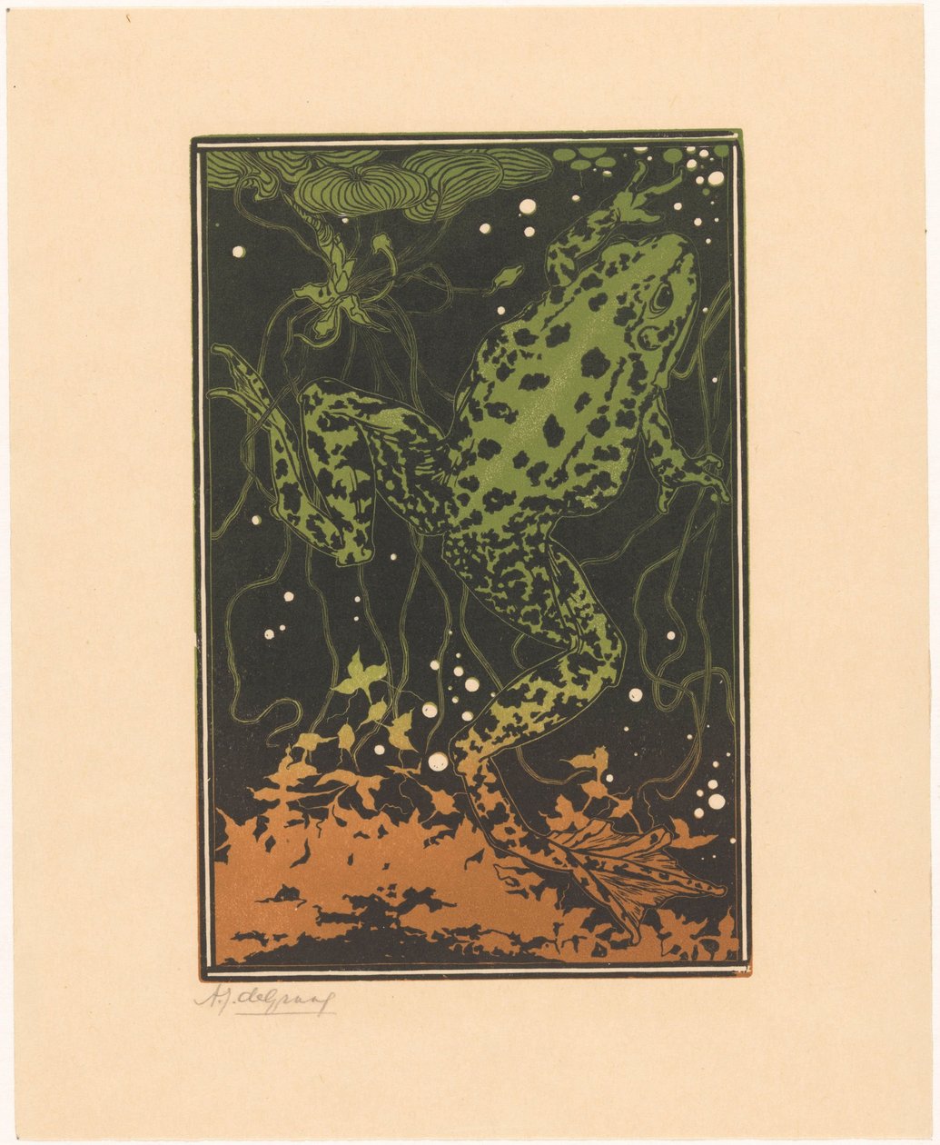 Grenouille nageant - Julie de Graag (signed by artist)